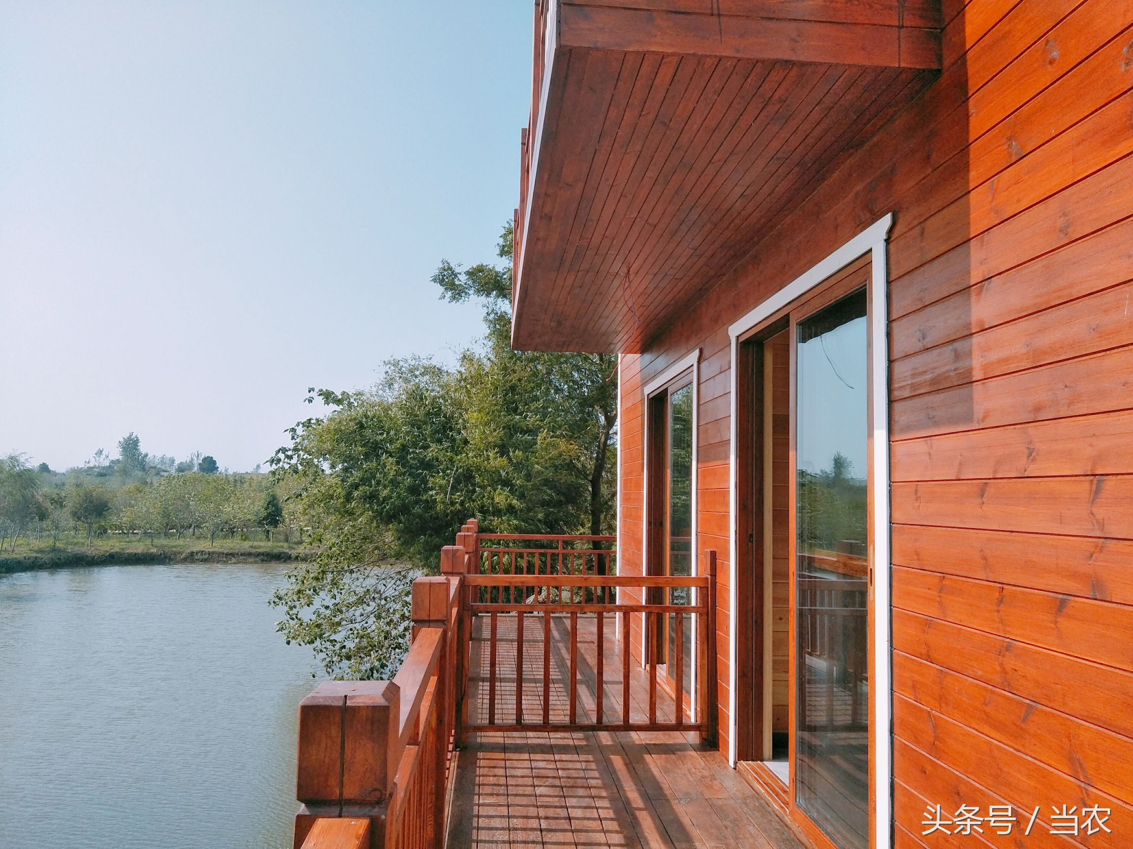 雨中浪漫的邂逅,花海中的浪漫邂逅