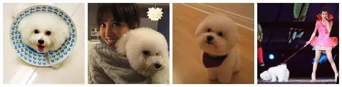 盘点那些不露脸长得很好看的网红,那些头像丑到爆的网红