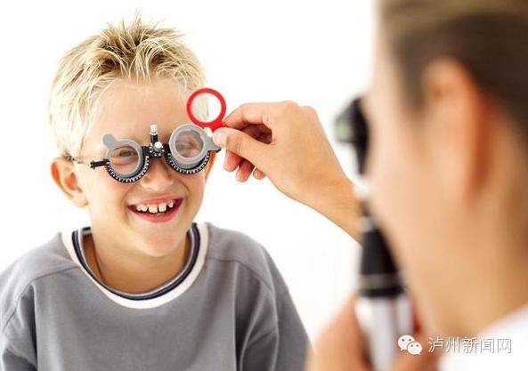 小松鼠可以吃什么食物,小松鼠可以吃什么