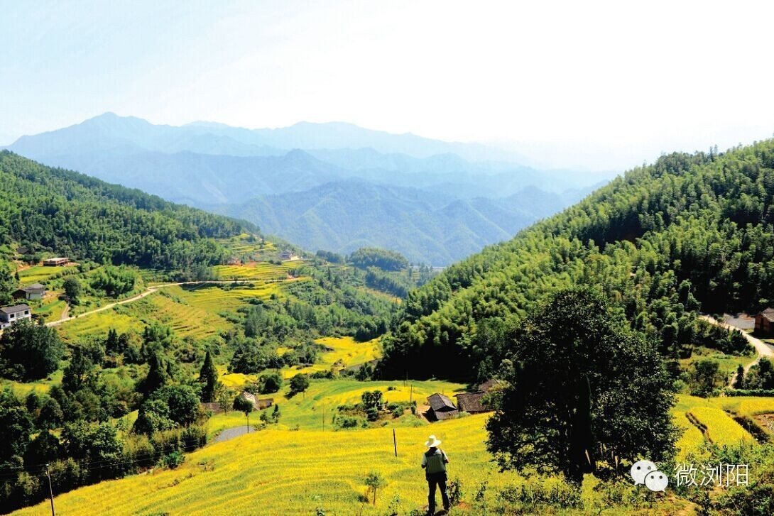 浏阳启动全域美丽乡村示范县,市创建震撼推出十条休闲农业与乡村旅游精品线路