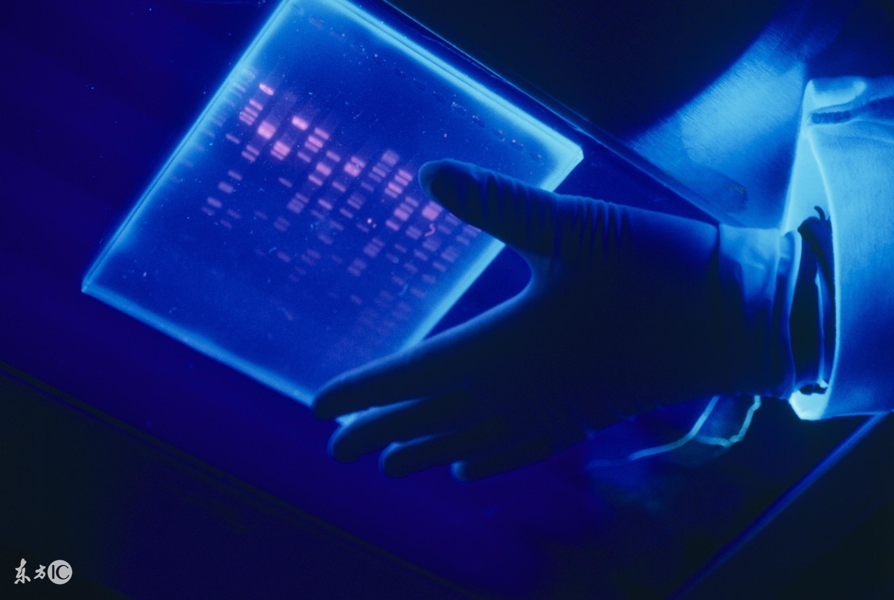 500g硬盘格式化了只剩下一个硬盘,硬盘格式化500g的剩余空间450g