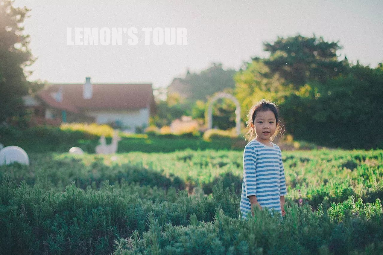 诺金度假酒店北京环球度假区,北京适合带孩子玩的度假酒店