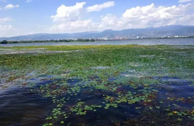 四川旅游攻略及各个景点门票价格,最新四川景点免票