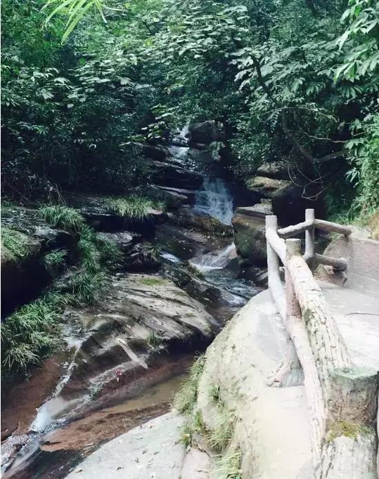 四川旅游攻略及各个景点门票价格,最新四川景点免票