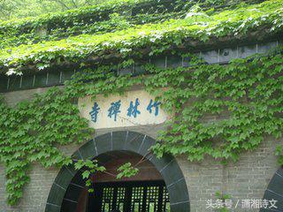 小雨天的竹林七绝,竹林溪水的七绝诗