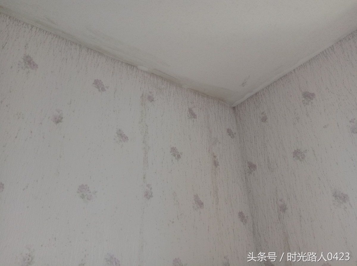 家里墙纸发霉了想重新弄怎么搞,室内墙纸发霉解决办法