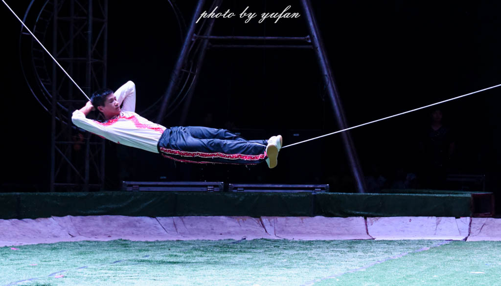 皇家大马戏巴伐利亚,广东哪里有大马戏