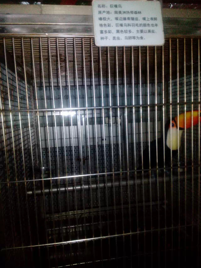 华侨城最好玩的项目,华侨城有哪些值得玩的地方