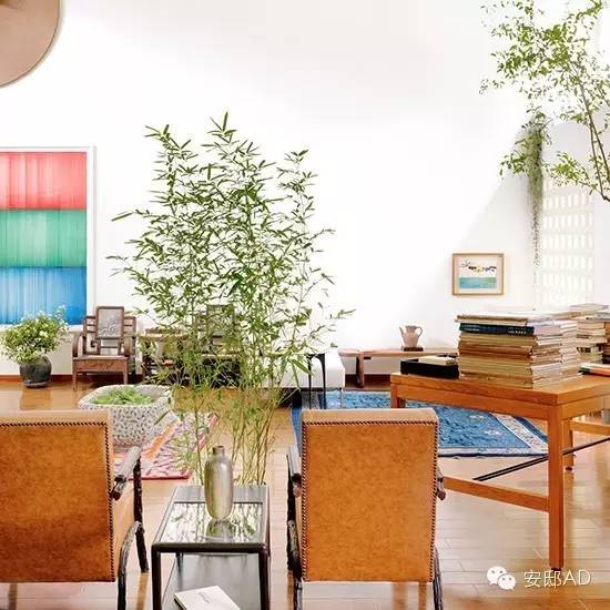 她的家真的和她一样潇洒!