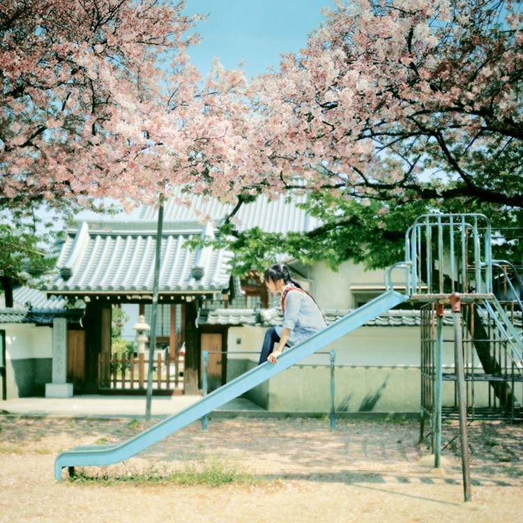 花季怎么拍好看,自由浪漫的人像照片