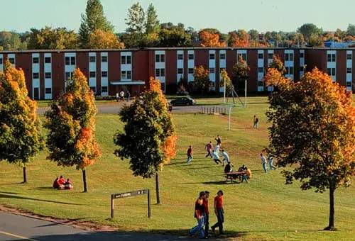 加拿大留学多伦多大学容易毕业吗,加拿大留学能进名校吗