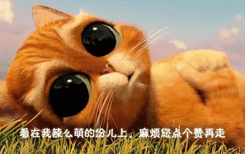 一周400分析：逸品紫晶再夺冠实现三连霸