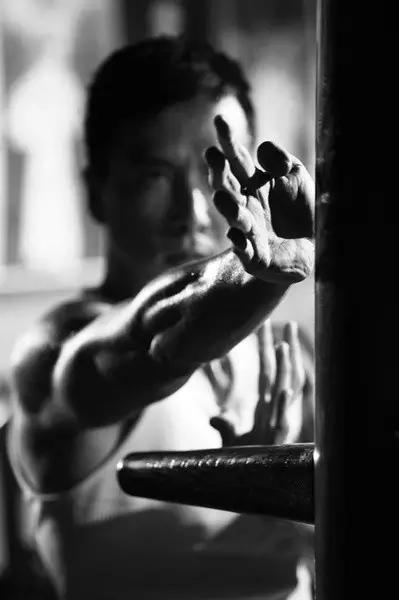 甄子丹算是一线明星吗,宇宙最强甄子丹邓紫棋