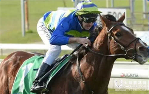 大陆赛马,大陆赛马网