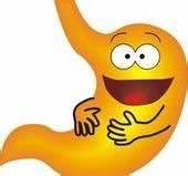 7-12岁孩子调理脾胃可以吃猴头菇,养胃吃猴头菌片