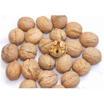 健康不漂白的核桃,毒核桃有什么不好