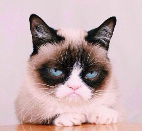 快播王欣真的有罪吗,快播是否有罪