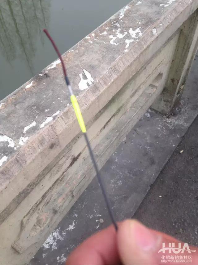 飞鲨钓重测试,黑坑拉仇恨视频