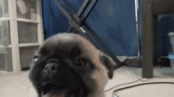 一个大写的字母,一个大写的字