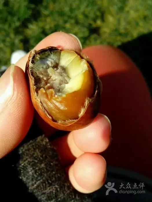 哏都宝藏美食 (哏都天津美食小吃)