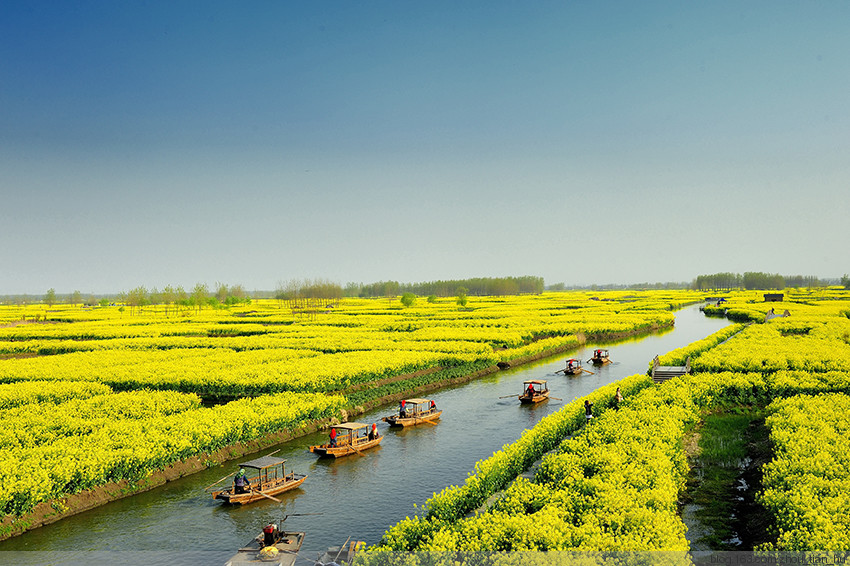 99%的人都不知道的中国式星座,99%的人不知道的中国历史