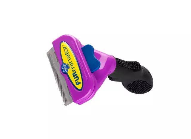 到处都是猫毛,短毛猫梳和长毛梳什么区别