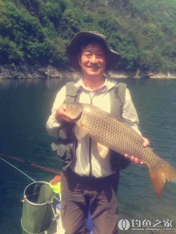 探钓野生鱼视频,探钓野生水库