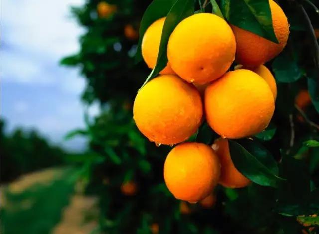 父母供自己读书花光了所有积蓄,父母花光积蓄送女儿留学