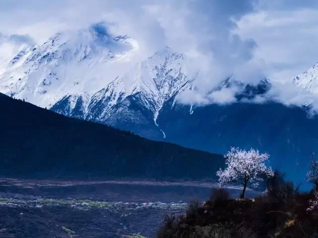 西藏林芝行一路风景如画,林芝最美小镇