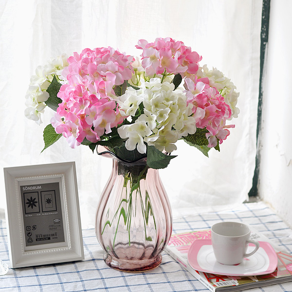 室内养殖蕨类植物有危害吗,什么植物放在室内可以净化空气