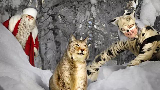 看动物的地方推荐,看动物去哪里的动物园最好