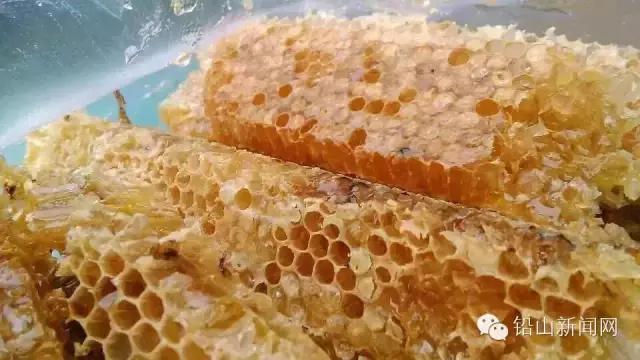 铅山县美食排行榜前十名,铅山美食公众号