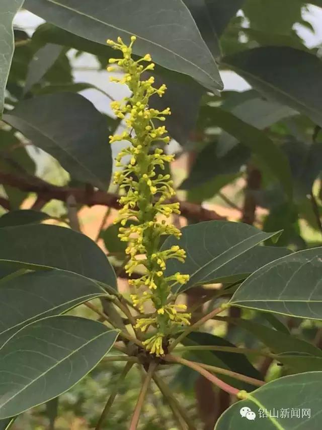 铅山县美食排行榜前十名,铅山美食公众号