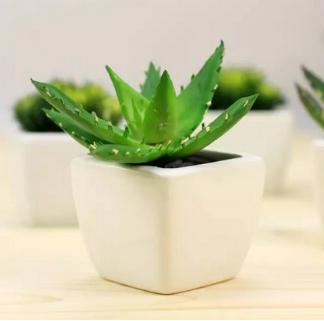 怎样才能有效祛痘痘,祛痘坑最有效方法