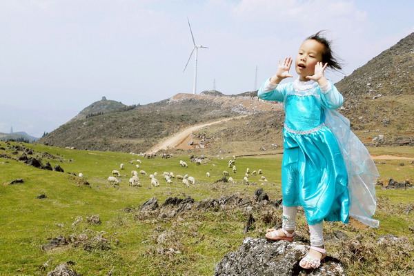 个旧老阴山玻璃栈道购票,个旧老阴山草场
