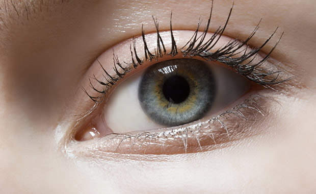 教给大家一个生活小技巧 (生活小妙招攻略很实用啊)