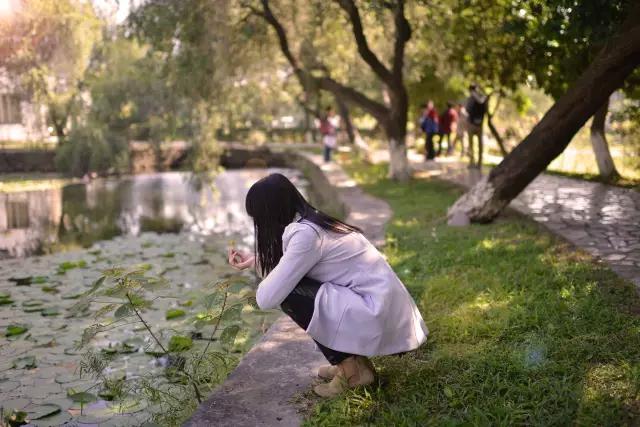 广东肇庆景色很好的大学,肇庆学院风景湖