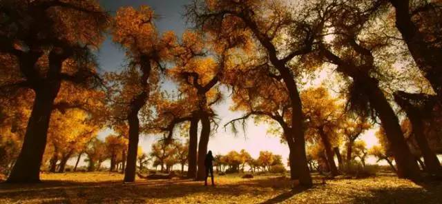 电影奇才李柯：从细节镜头表现另类烧脑悬疑片