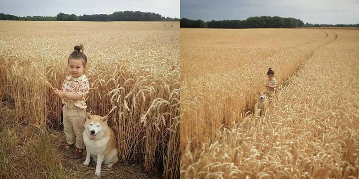 为什么都讨厌朋友圈晒娃,为什么妈妈们喜欢在朋友圈晒娃