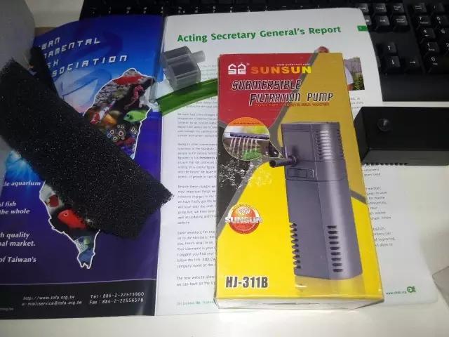 开缸的日记,开缸日记小鱼缸