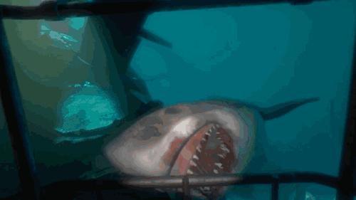 真正穿越虚拟世界的vr眼镜 (vr眼镜神奇的世界)