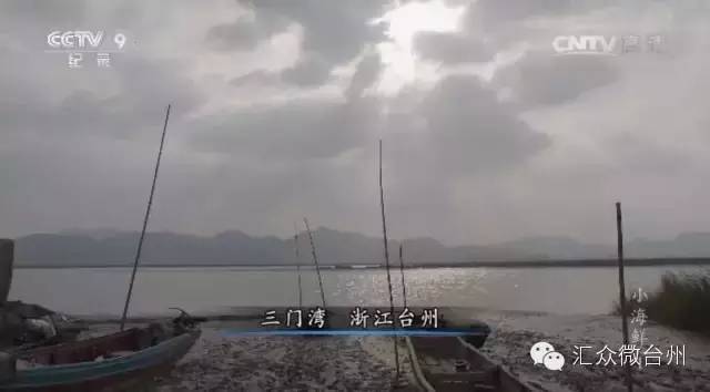 央视台州小吃,台州美食央视推荐