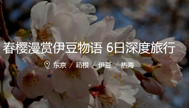 旅游景点樱花谷攻略,赏樱攻略和景点推荐