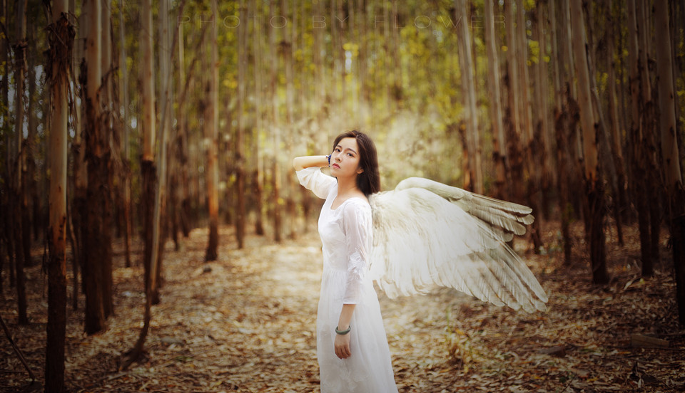 摄影有必要买很多器材吗,摄影师都需要什么器材