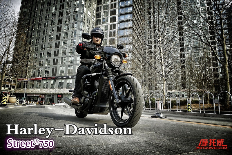 2019款哈雷street750,哈雷streetbob