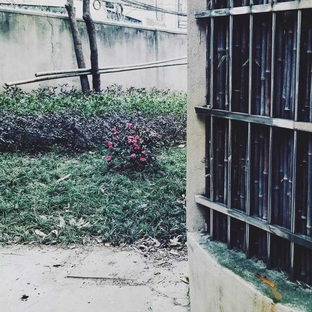 友客便利店甜品,友客便利店美食