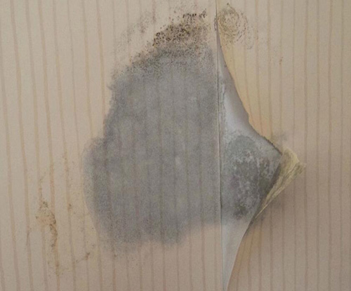 入住以后墙顶乳胶漆开裂怎么处理,用了除霉剂墙面开裂起泡怎么办