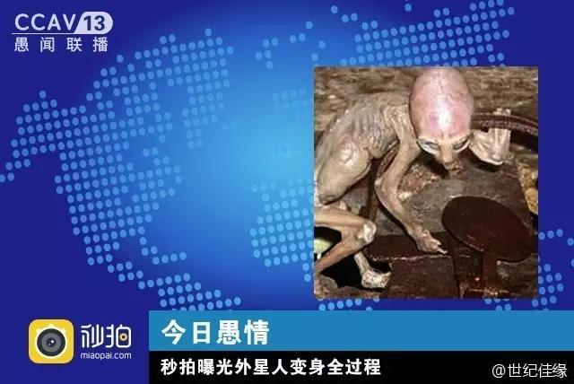 愚人节创意营销方案,愚人节营销段子