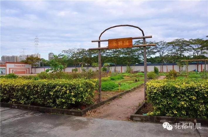 广州市花都区圆玄中学电话,广州市花都区圆玄中学