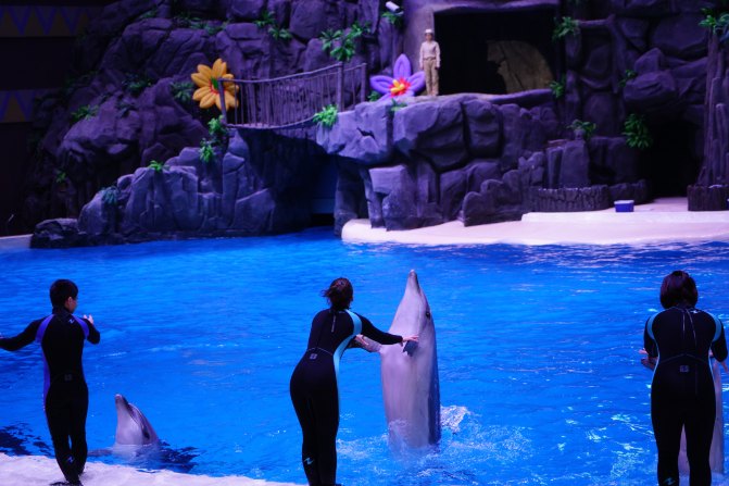 珠海长隆海洋王国2天1夜游玩攻略,最新珠海长隆海洋王国旅游攻略